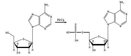 合成单磷酸阿糖腺苷的路线2